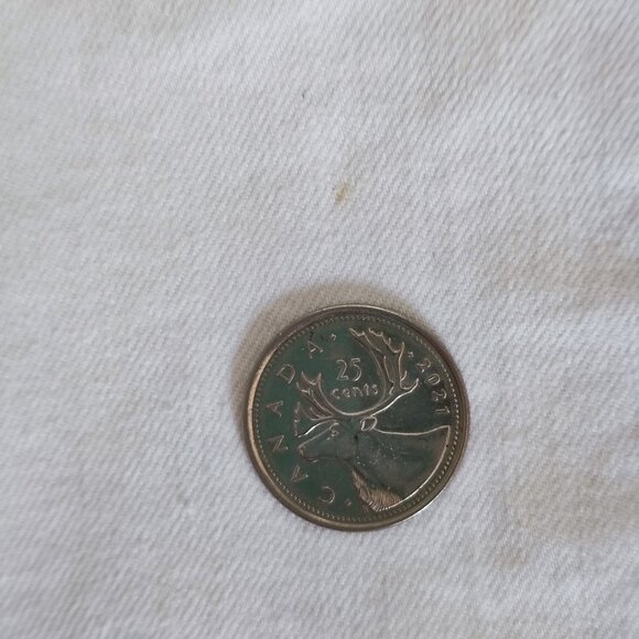 Buffalo Misha jean shorts women's 10X32 white mid-rise straight leg stretch - Picture 9 of 13